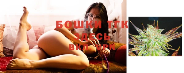 мдпв Елабуга
