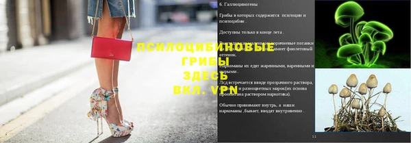 ешки Дмитров