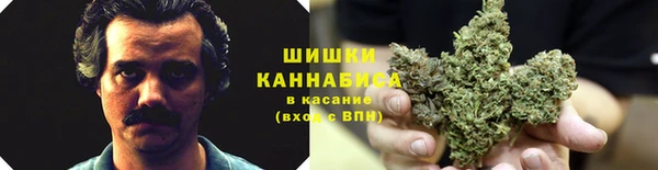 mdpv Дмитриев